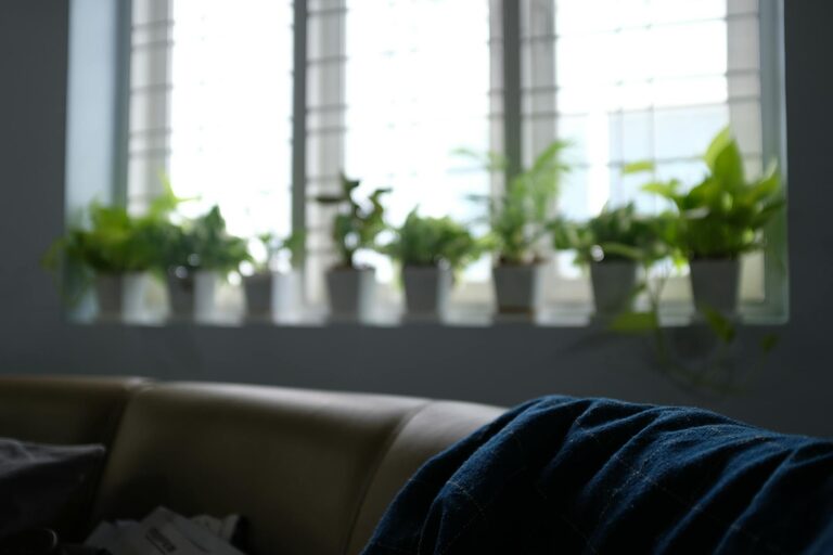 Tips for Creating a Cosy and Inviting Living Room Space on a Budget